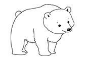 ppt教学课件制作素材资源分享-熊Bear自然环境动物线稿|棱猫