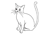 猫Cat自然环境动物线稿-棱猫教学课件资源创作素材分享