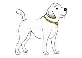 狗Dog自然环境动物卡通-棱猫教学课件资源创作素材分享