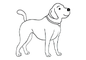 狗Dog自然环境动物线稿-棱猫教学课件资源创作素材分享
