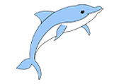 海豚Dolphin自然环境动物卡通-棱猫教学课件资源创作素材分享