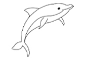 海豚Dolphin自然环境动物线稿-棱猫教学课件资源创作素材分享