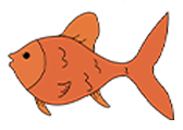 金鱼Goldfish111111自然环境动物卡通-棱猫教学课件资源创作素材分享