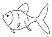 金鱼Goldfish111121自然环境动物线稿-棱猫教学课件资源创作素材分享