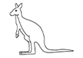 袋鼠Kangaroo111421自然环境动物线稿-棱猫教学课件资源创作素材分享
