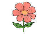 花Flower自然环境植物卡通-棱猫PPT课件创作素材资源分享