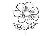 花Flower自然环境植物线稿-棱猫PPT课件创作素材资源分享