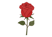 玫瑰Rose自然环境植物卡通-棱猫PPT课件创作素材资源分享