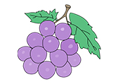 课堂教案设计素材资源分享-葡萄Grape人类生活水果食物卡通|棱猫
