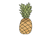 课堂教案设计素材资源分享-菠萝Pineapple人类生活水果食物卡通|棱猫