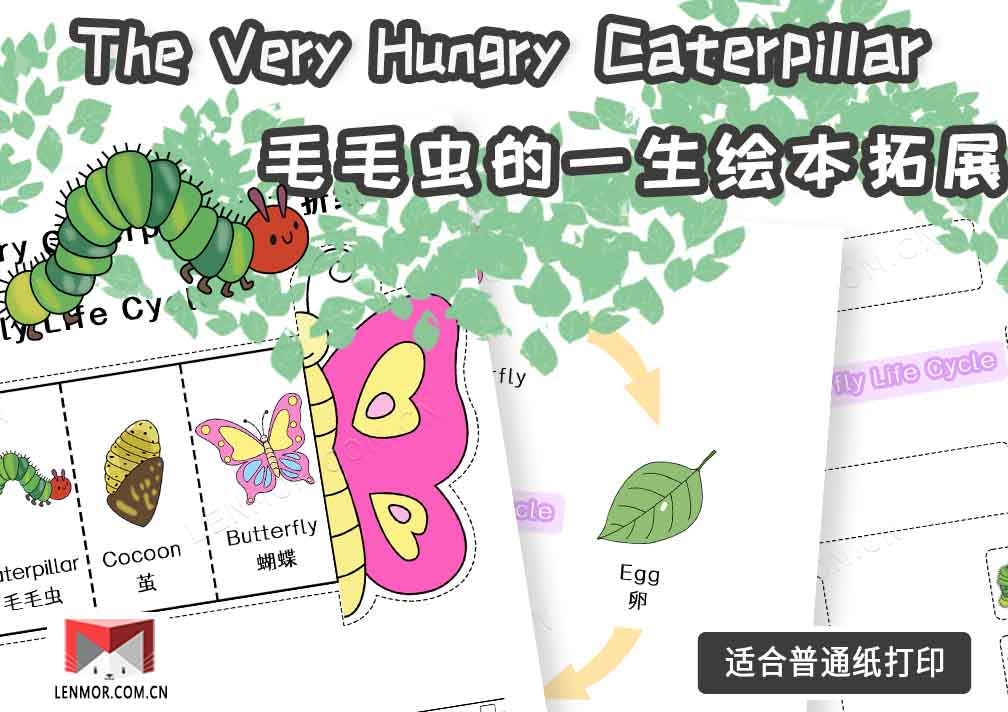 《The Very Hungry Caterpillar 》知识拓展|毛毛虫的一生-棱猫|LENMOR-教学课件|教案学案|试题试卷|课堂练习-为教师提供优质教学资源下载网